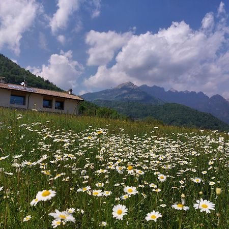 La Casa Di Maia - Alloggio Agrituristico Pedavena Exterior foto