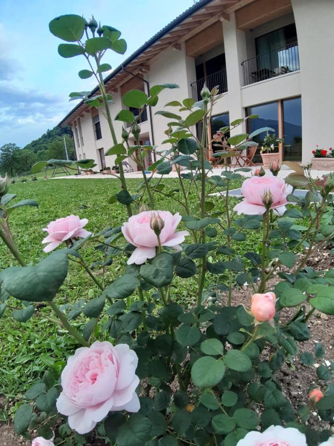 La Casa Di Maia - Alloggio Agrituristico Pedavena Exterior foto