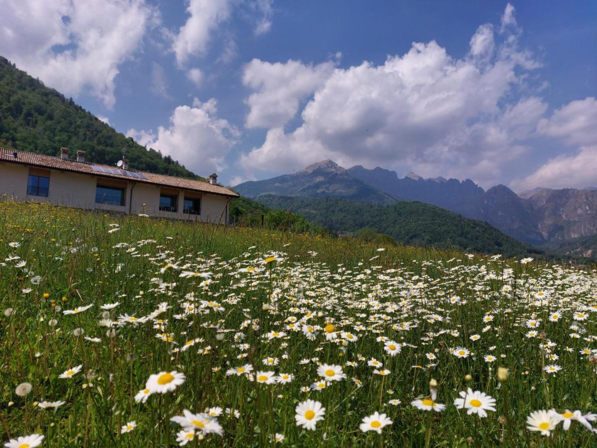 La Casa Di Maia - Alloggio Agrituristico Pedavena Exterior foto