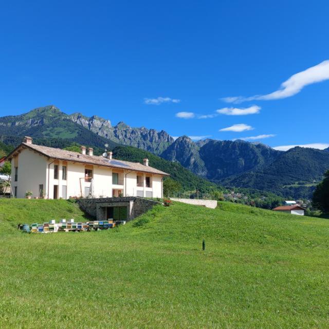 La Casa Di Maia - Alloggio Agrituristico Pedavena Exterior foto