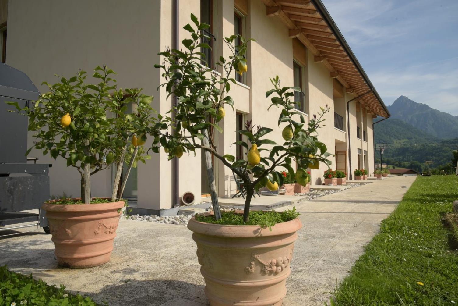 La Casa Di Maia - Alloggio Agrituristico Pedavena Exterior foto